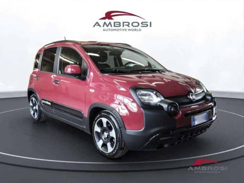 Fiat Panda Cross usata a Perugia