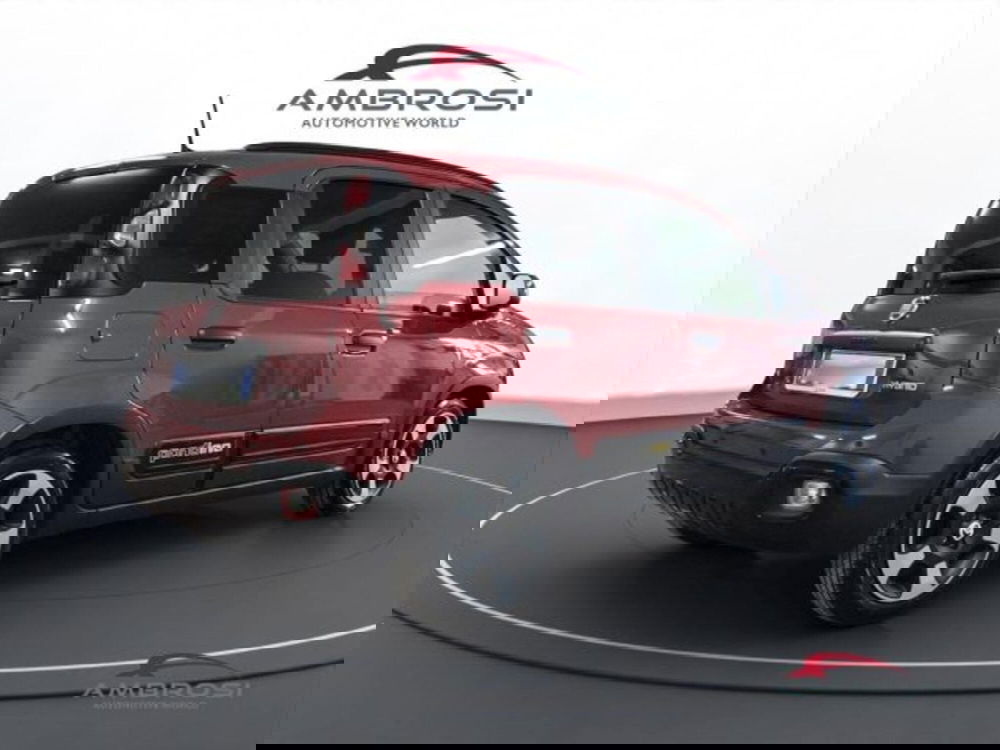 Fiat Panda Cross usata a Perugia (3)