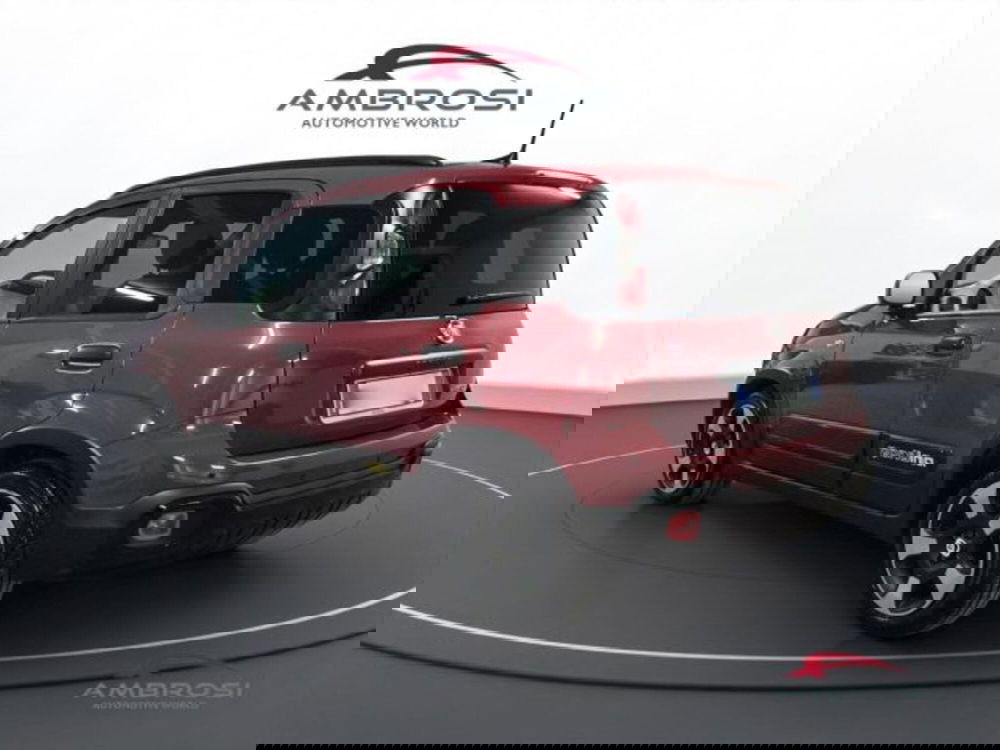 Fiat Panda Cross usata a Perugia (4)