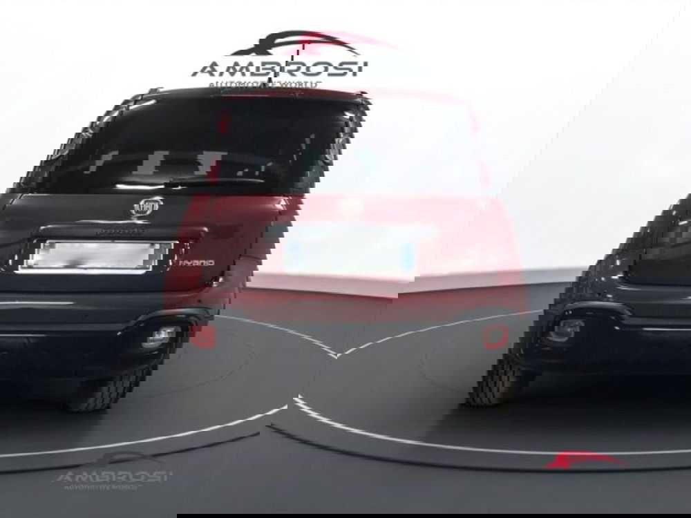 Fiat Panda Cross usata a Perugia (8)