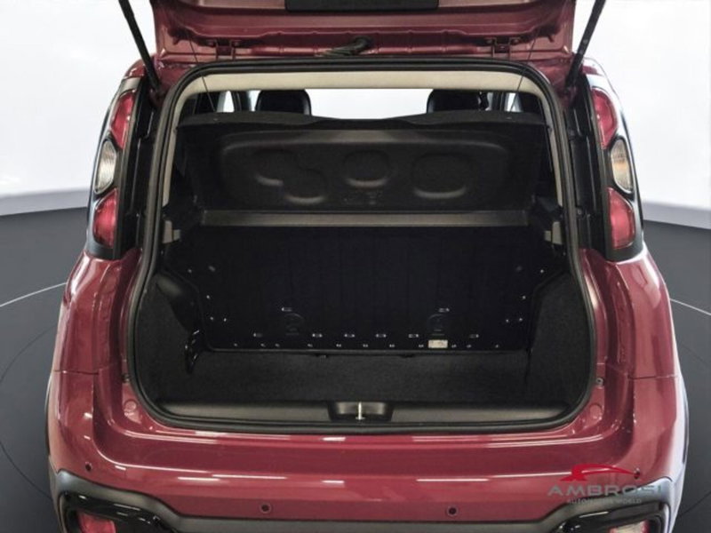 Fiat Panda Cross usata a Perugia (3)