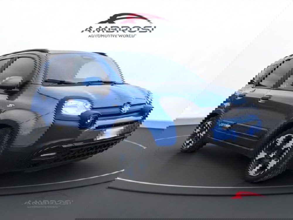 Fiat Panda Cross usata a Perugia (2)