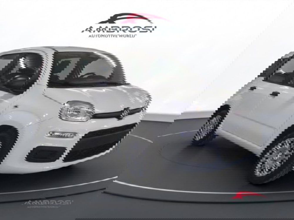 Fiat Panda nuova a Perugia