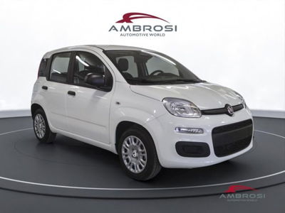 Fiat Panda 1.0 firefly hybrid Pop s&amp;s 70cv nuova a Corciano