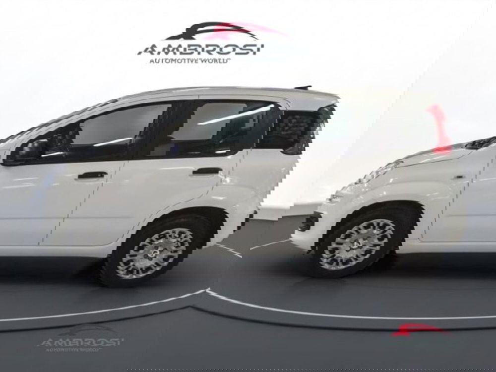 Fiat Panda nuova a Perugia (5)