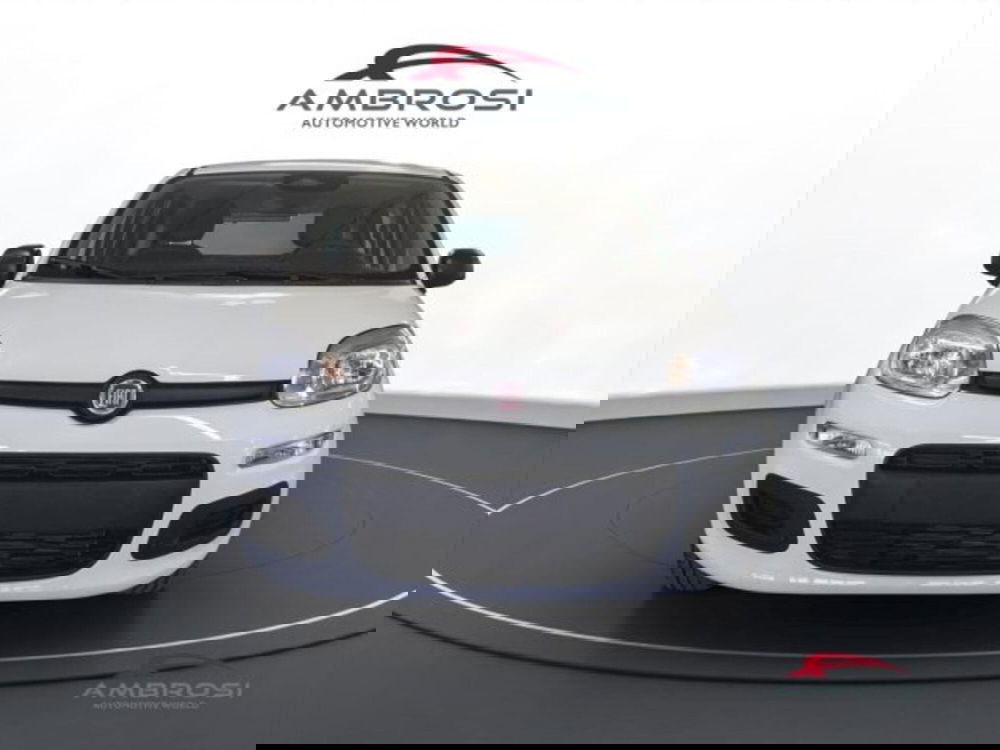 Fiat Panda nuova a Perugia (6)