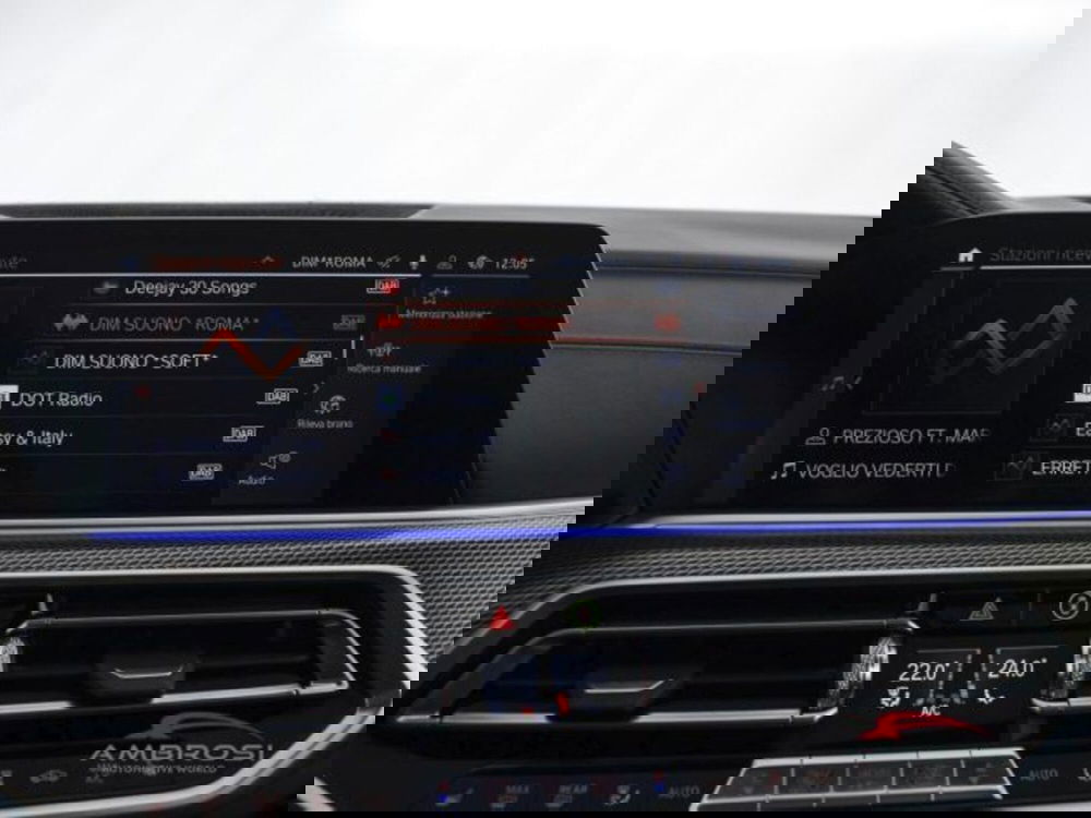 BMW X5 usata a Perugia (14)