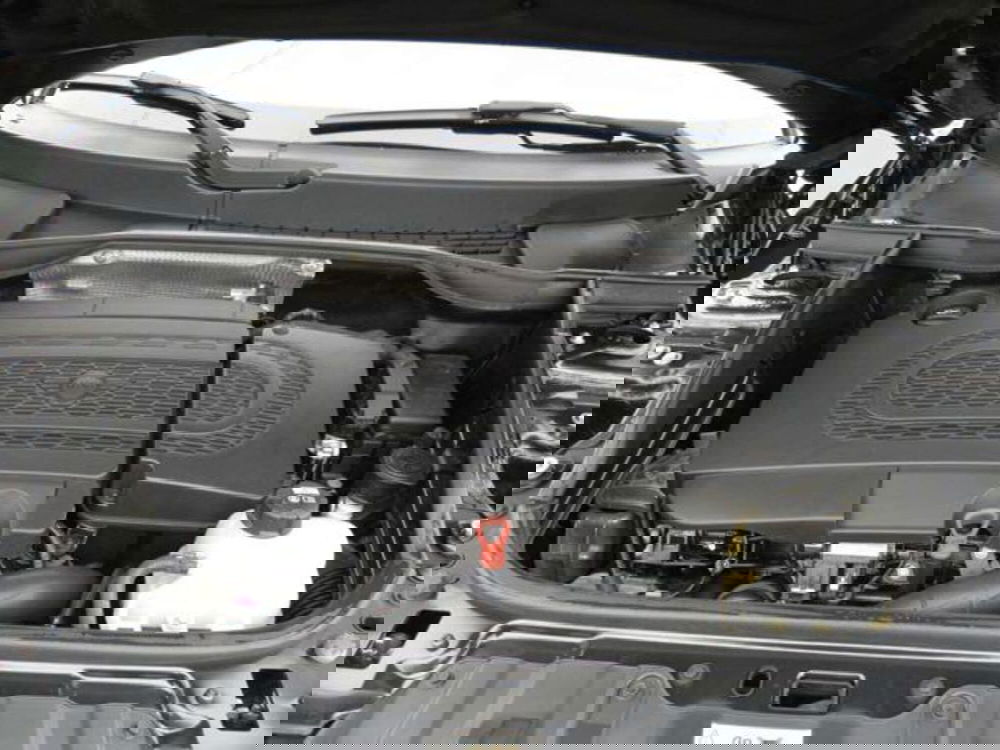 MINI Mini Countryman usata a Firenze (12)