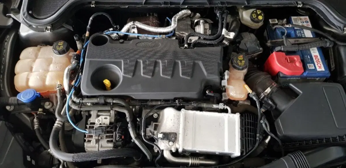 Ford Focus Station Wagon usata a Pordenone (10)