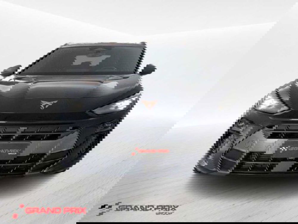 Cupra Terramar usata a Bologna (3)