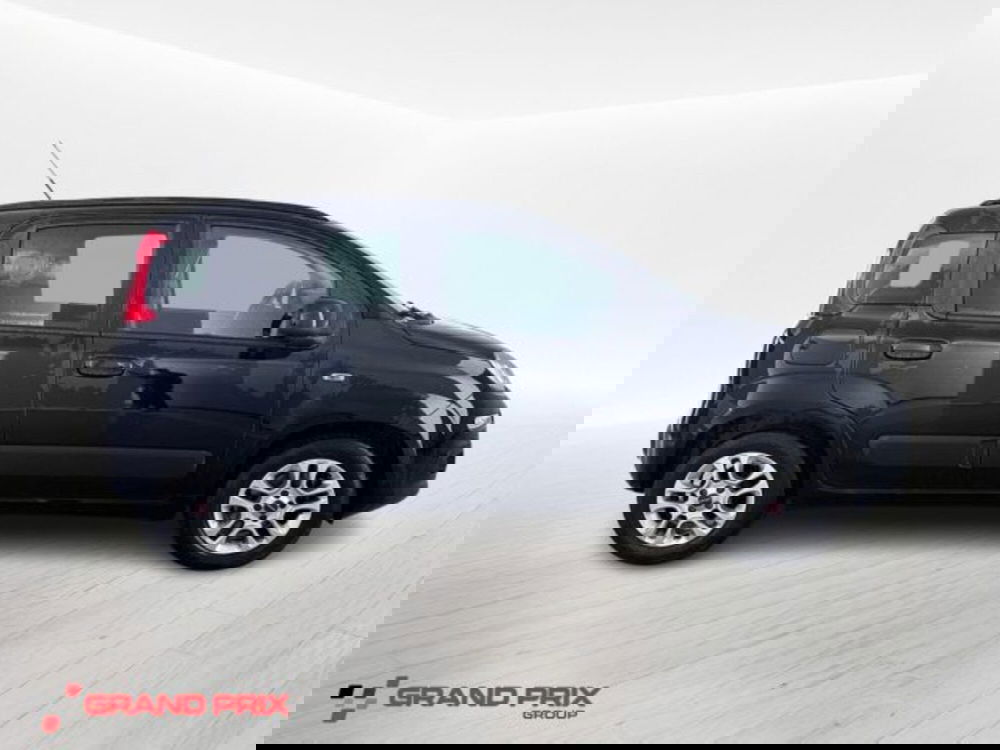 Fiat Panda usata a Bologna (4)