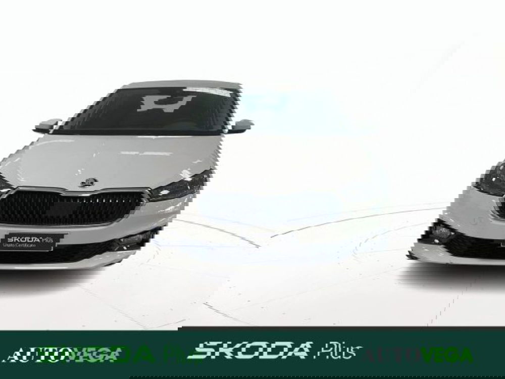 Skoda Fabia usata a Vicenza (2)