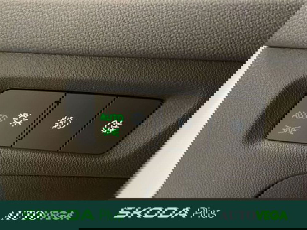 Skoda Octavia Station Wagon usata a Vicenza (18)