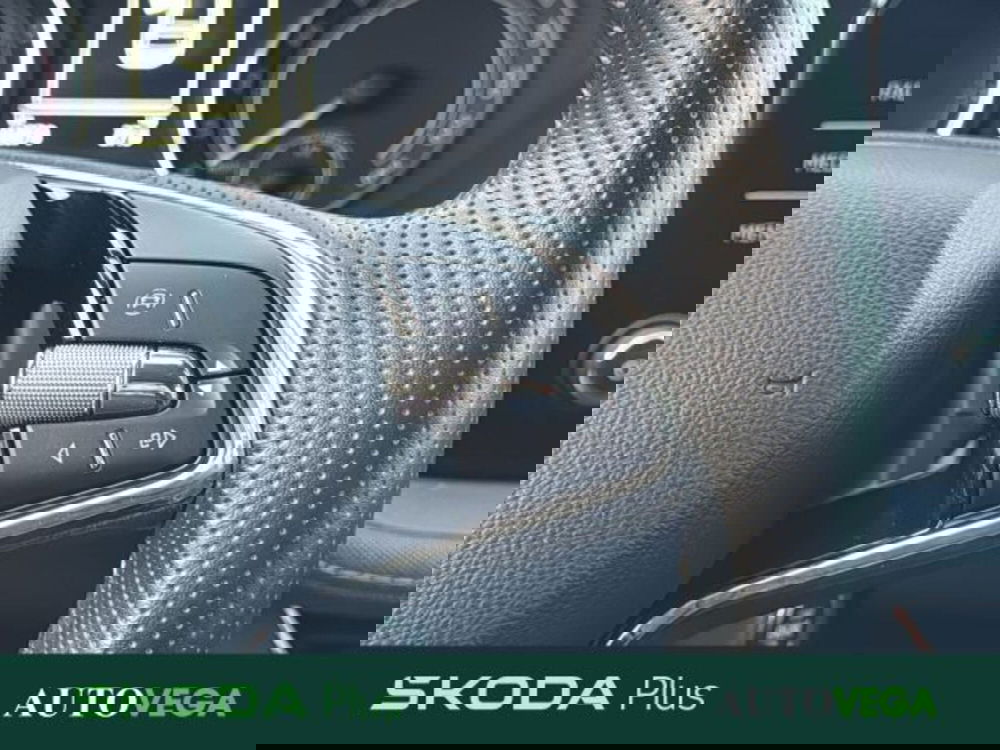 Skoda Fabia usata a Vicenza (19)