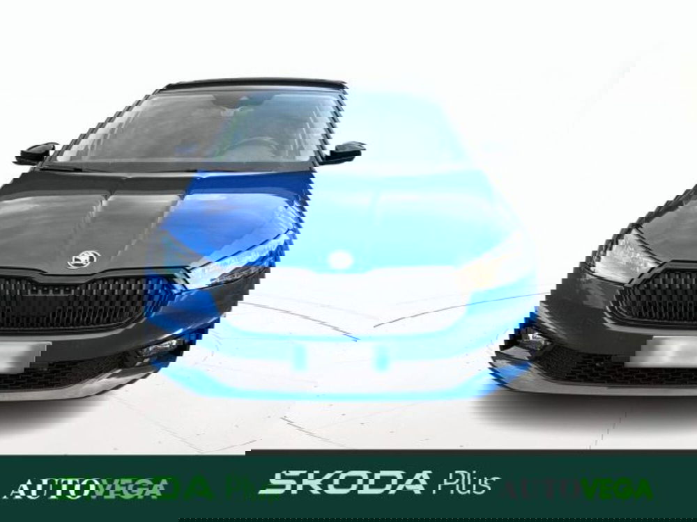 Skoda Fabia usata a Vicenza (2)