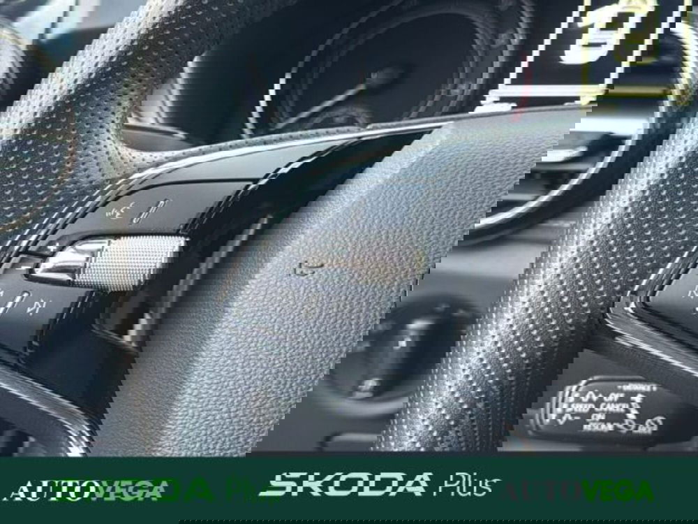 Skoda Fabia usata a Vicenza (20)