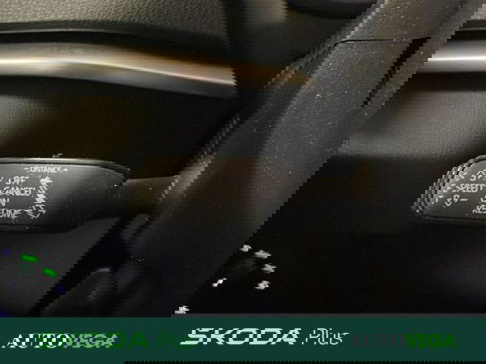 Skoda Karoq usata a Vicenza (15)