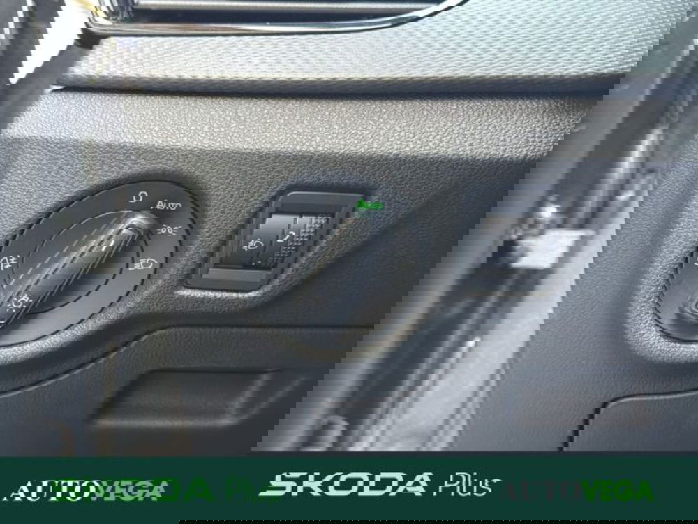 Skoda Kamiq usata a Vicenza (13)