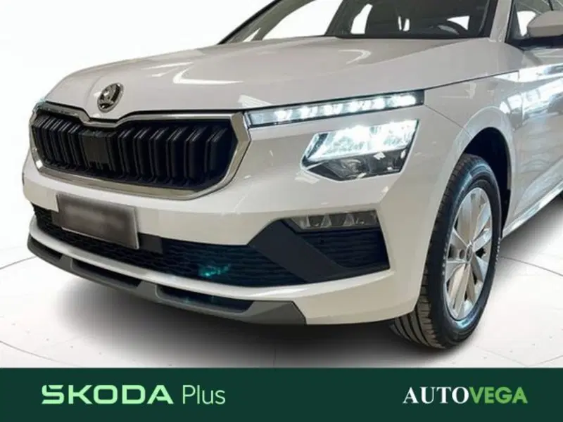 Skoda Kamiq usata a Vicenza (18)