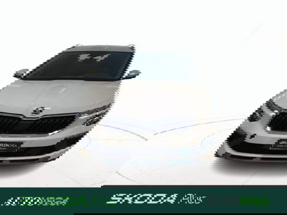 Skoda Kamiq usata a Vicenza (2)