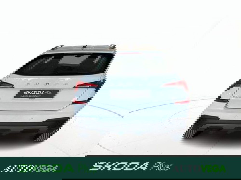 Skoda Kamiq usata a Vicenza (5)