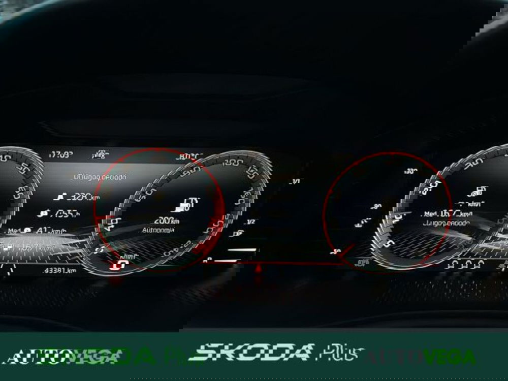 Skoda Kamiq usata a Vicenza (10)