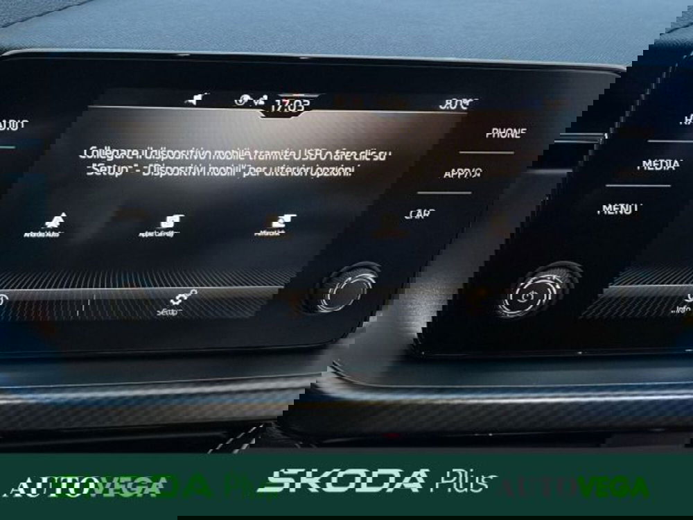 Skoda Kamiq usata a Vicenza (11)