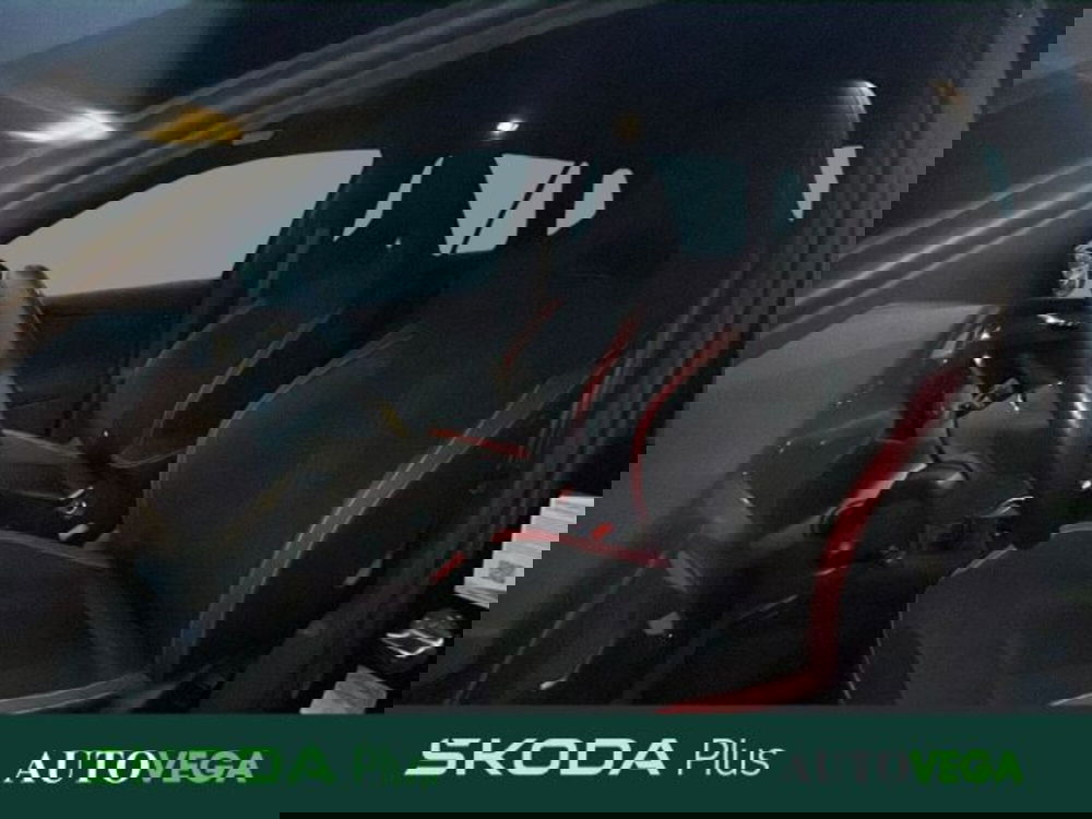 Skoda Kamiq usata a Vicenza (16)