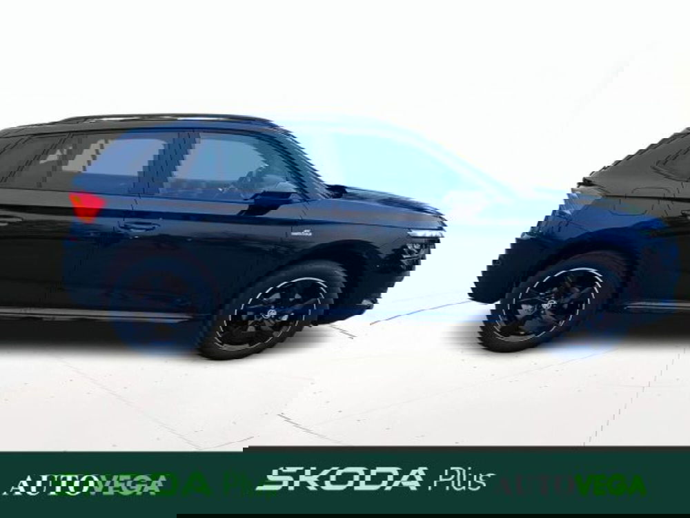 Skoda Kamiq usata a Vicenza (3)