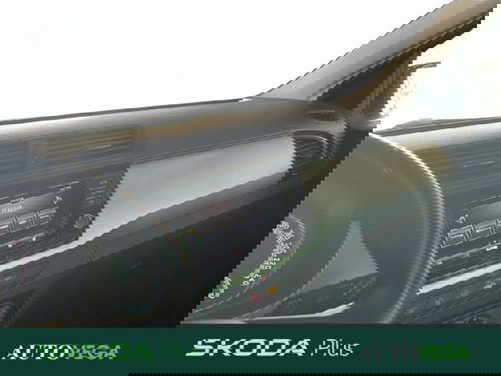 Skoda Fabia usata a Vicenza (11)