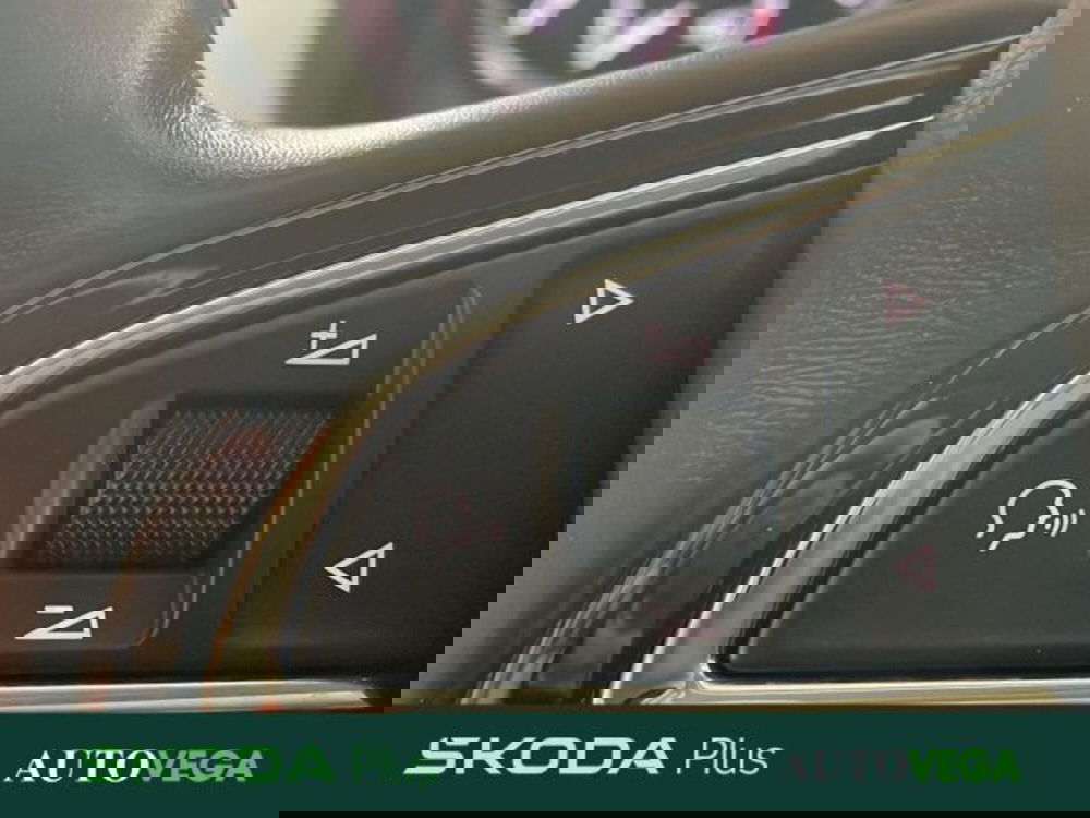 Skoda Fabia usata a Vicenza (14)