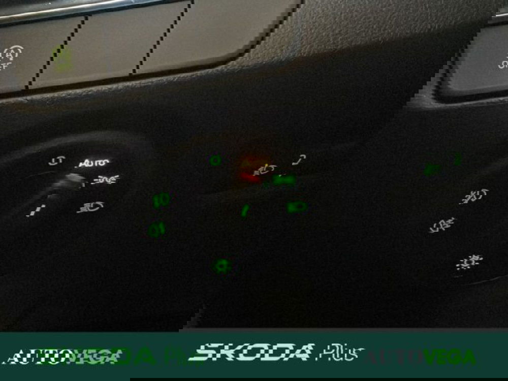 Skoda Fabia usata a Vicenza (15)