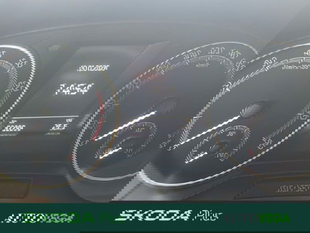 Skoda Fabia usata a Vicenza (9)