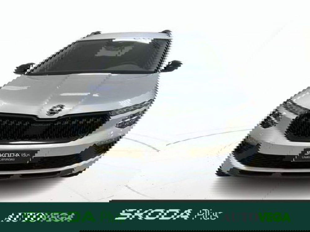 Skoda Kamiq usata a Vicenza (2)