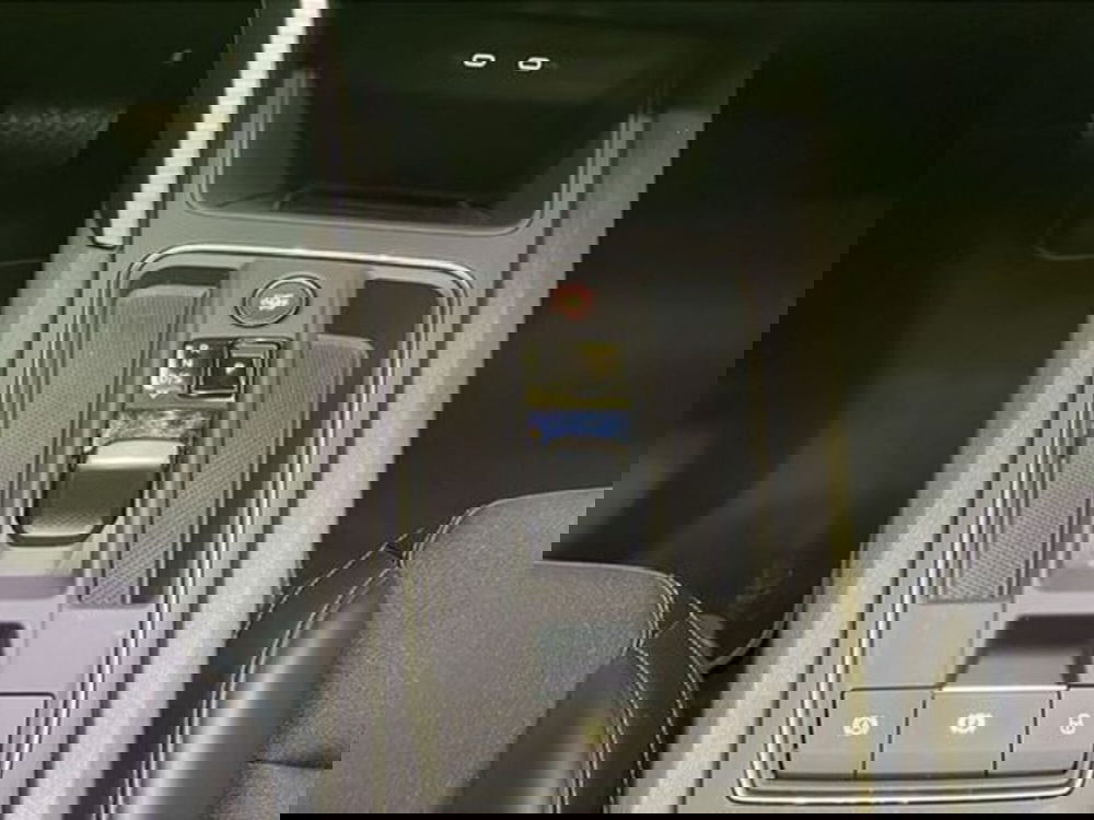 Cupra Formentor usata a Vicenza (10)