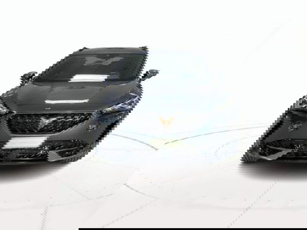 Cupra Formentor usata a Vicenza (2)