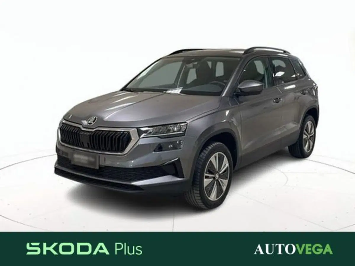 Skoda Karoq usata a Vicenza
