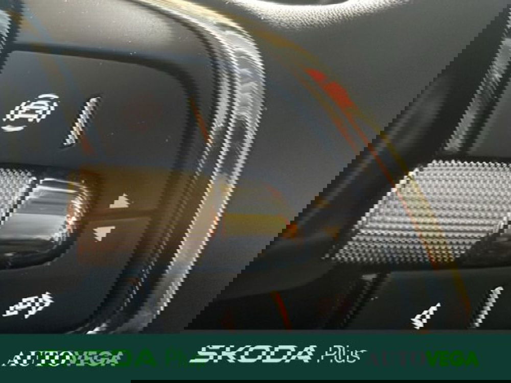 Skoda Karoq usata a Vicenza (13)