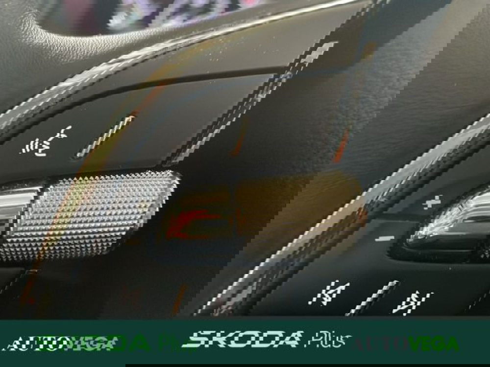 Skoda Karoq usata a Vicenza (14)