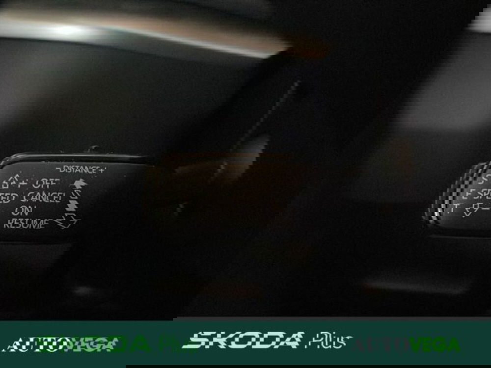 Skoda Karoq usata a Vicenza (18)