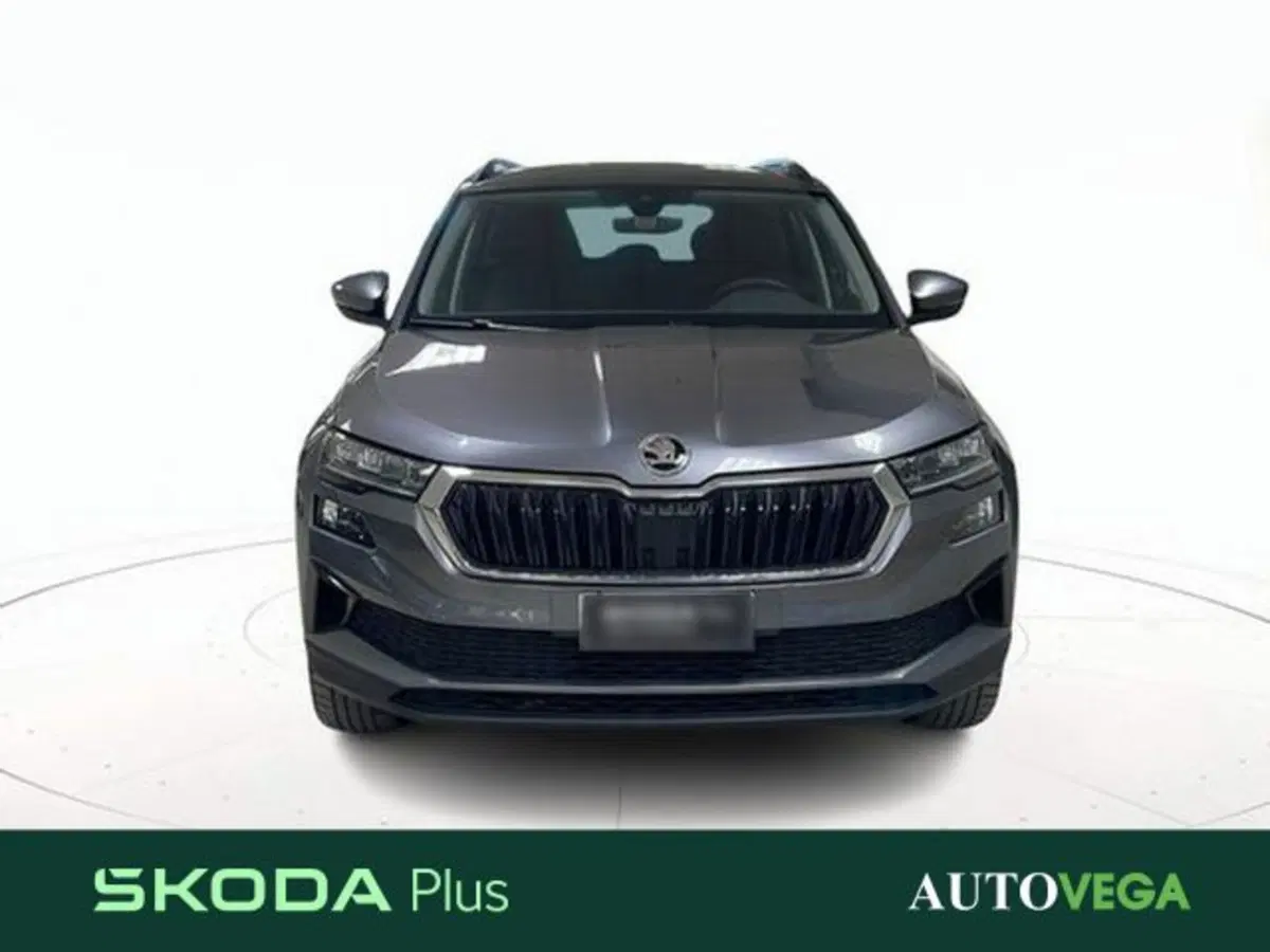 Skoda Karoq usata a Vicenza (2)