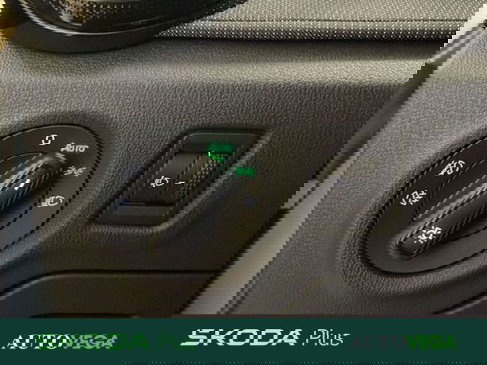 Skoda Fabia usata a Vicenza (17)