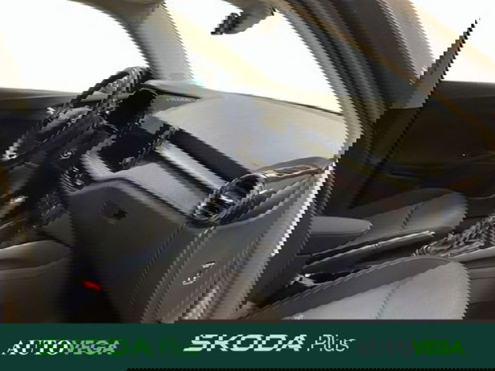 Skoda Fabia usata a Vicenza (6)