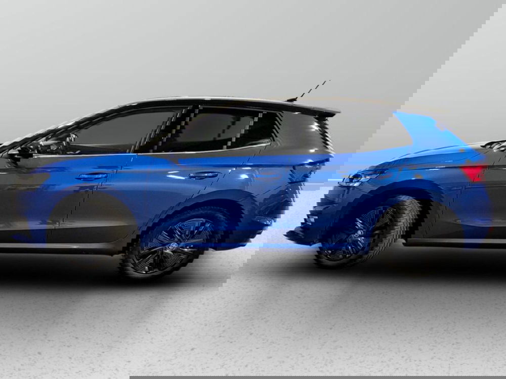 Skoda Fabia usata a Padova (2)