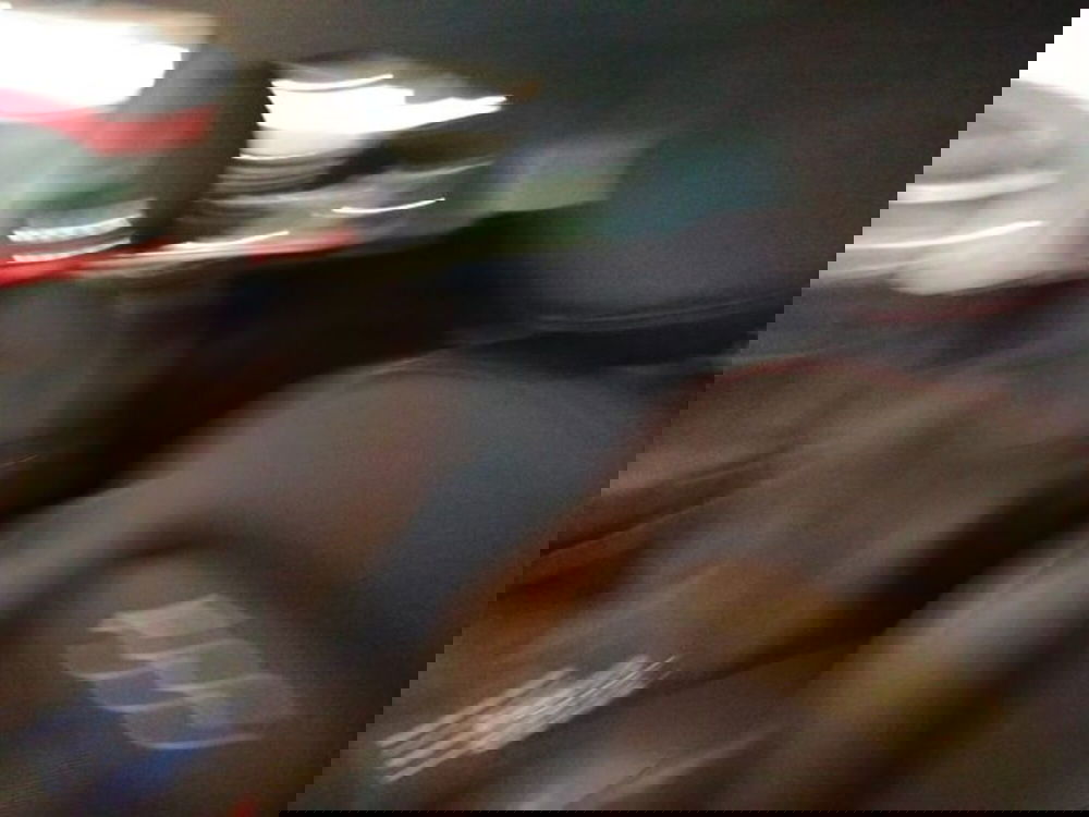 Fiat 500X usata a Forlì-Cesena (15)