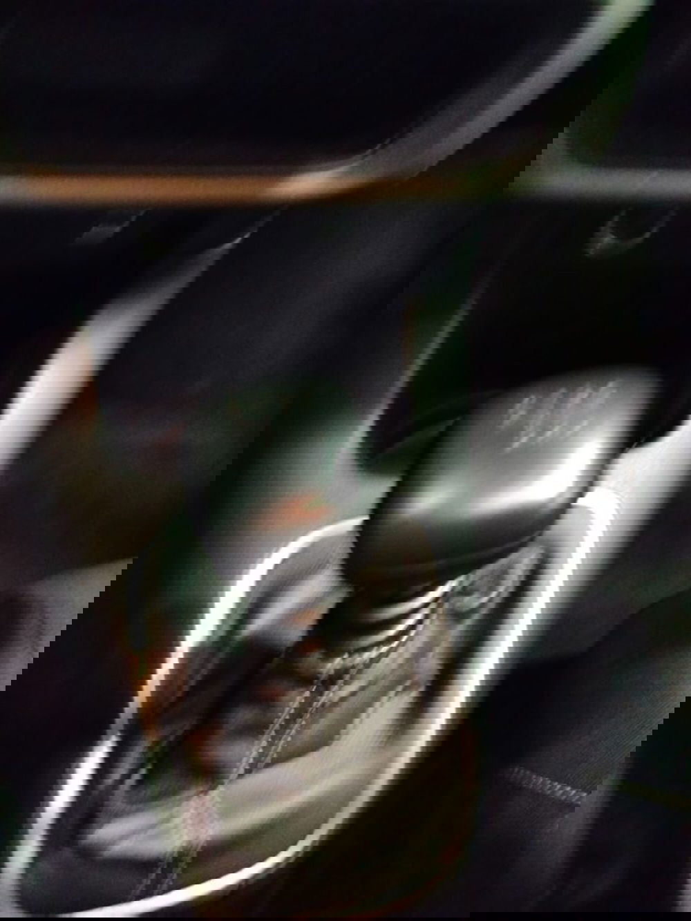 Citroen C3 usata a Forlì-Cesena (19)