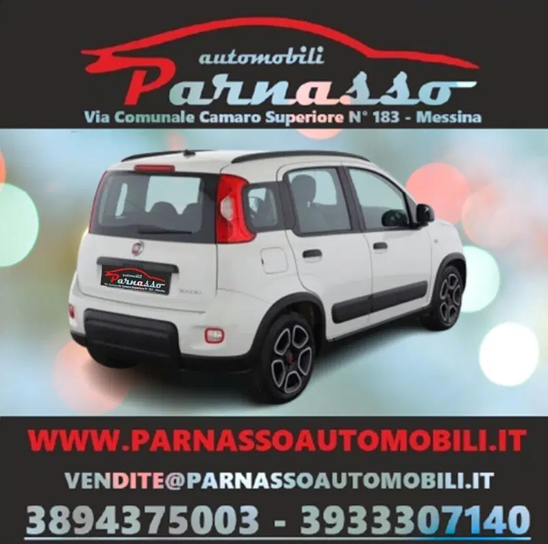 Fiat Panda usata a Messina (7)