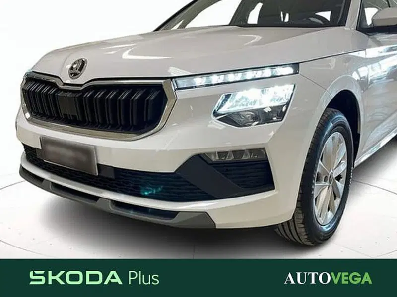 Skoda Kamiq usata a Vicenza (18)