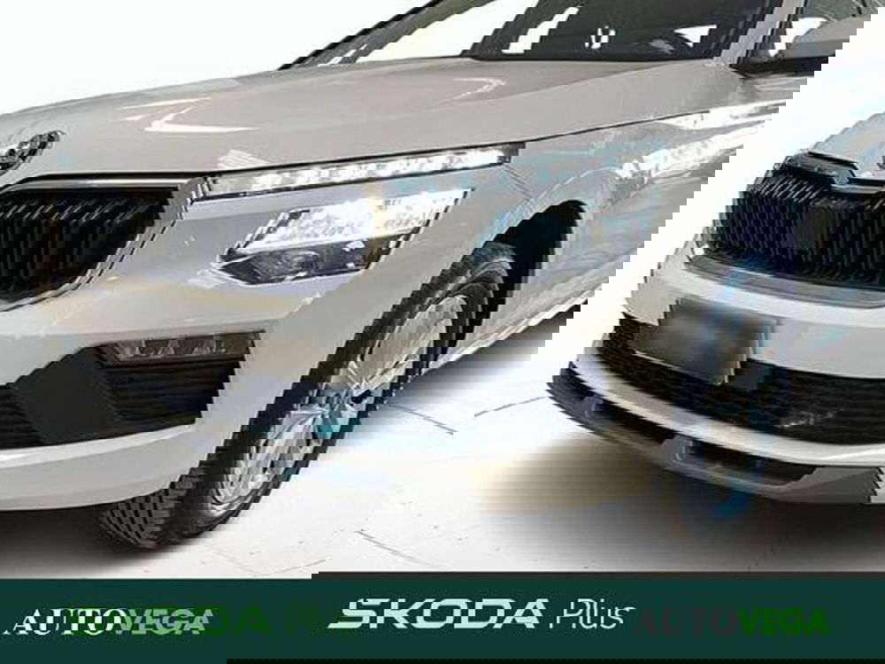 Skoda Kamiq usata a Vicenza (18)