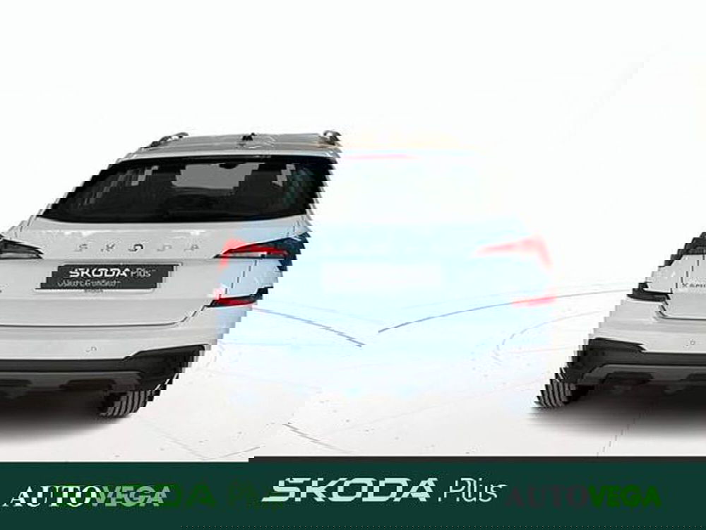 Skoda Kamiq usata a Vicenza (5)